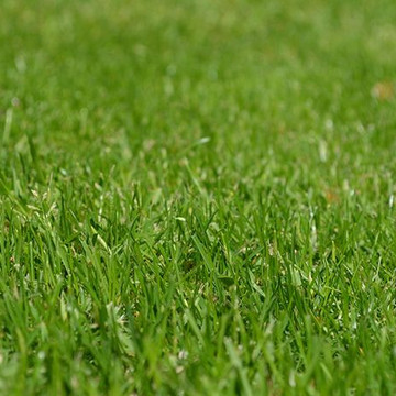 Gras uit tuin verwijderen