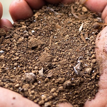 Tuinieren op droge grond