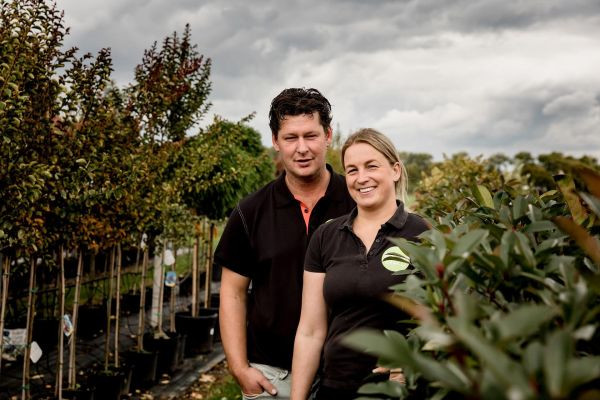 Start online verkoop bomen is gouden greep