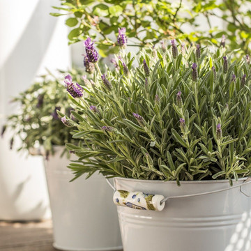 Tuin in Ibiza stijl: creëer jouw eigen boho-paradijs