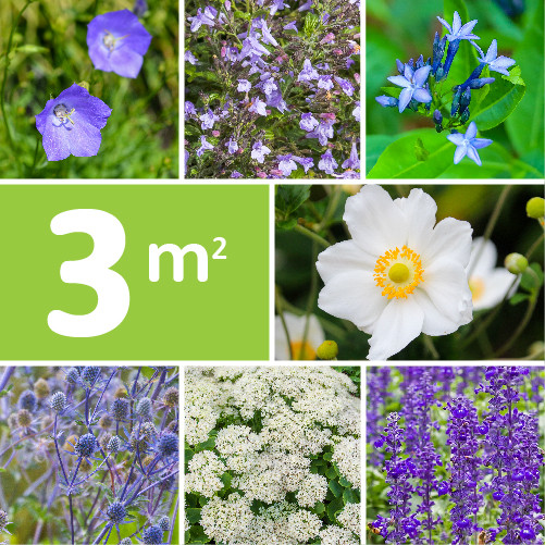 Borderpakket Blauw Paars Wit