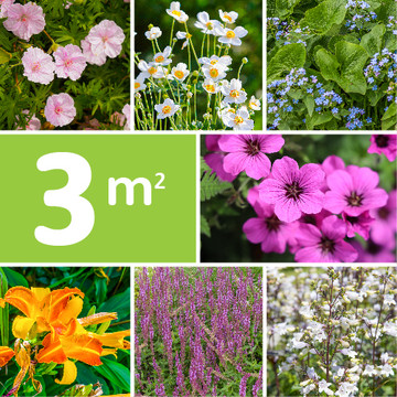 Borderpakket Bont Borderpakket Bont