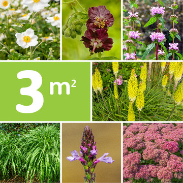 Borderpakket Cottage Borderpakket Cottage