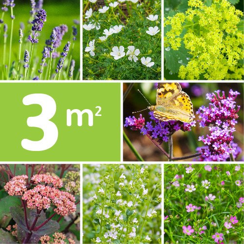 Borderpakket Romantisch