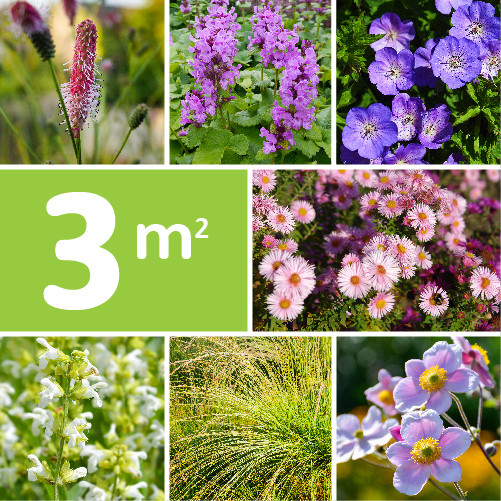 Borderpakket Verwilderde Tuin