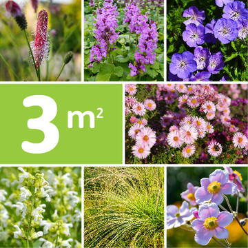 Borderpakket Verwilderde Tuin Borderpakket Verwilderde Tuin