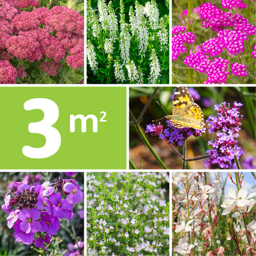 Borderpakket Vlinder en Bijen 