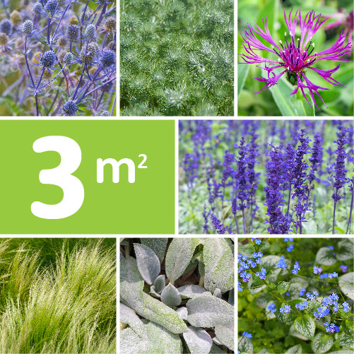 Borderpakket Zilver Paars