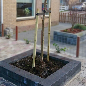 Aanplantservice Aanplantservice