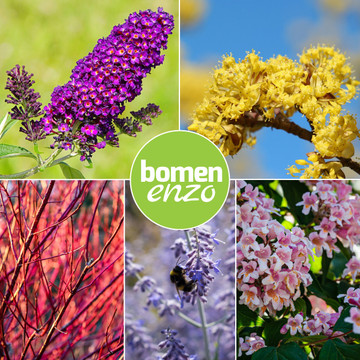 Biodiversiteit planten mix Biodiversiteit planten mix