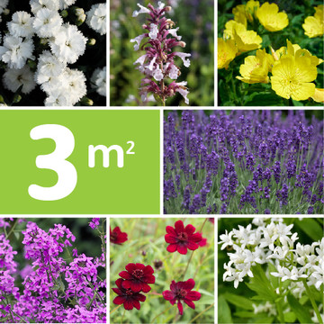 Borderpakket Geurend Borderpakket Geurend