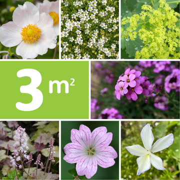 Borderpakket Langbloeiend Borderpakket Langbloeiend