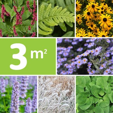 borderpakket nazomer borderpakket nazomer