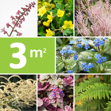 Borderpakket Schaduw Borderpakket Schaduw