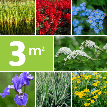 Borderpakket Vijverrand Borderpakket Vijverrand