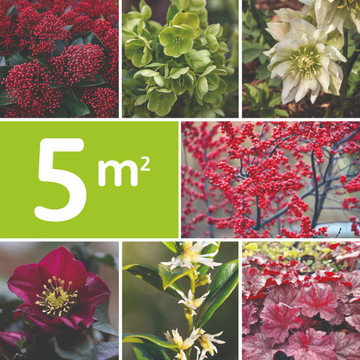 Borderpakket Winter Borderpakket Winter