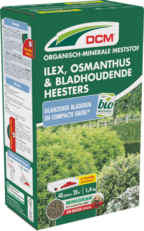 Dnger Ilex, Osmanthus und immergrne Strucher | DCM | Baumschuleonline.de