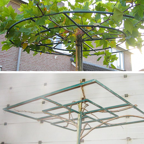 Gecoate ring of vierkant