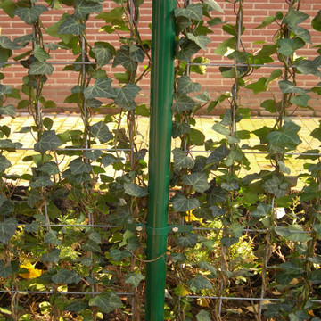 IJzeren paal 260 IJzeren paal 260