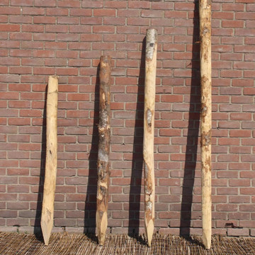 Holzpfahl Kastanie Holzpfahl Kastanie