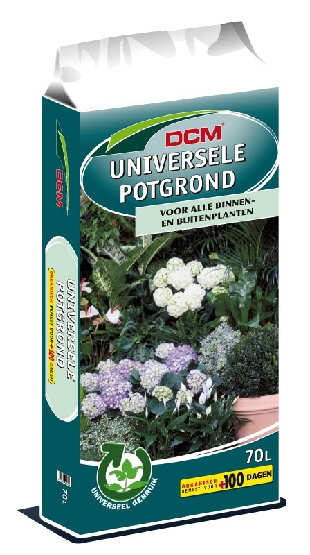 Aanplantgrond DCM