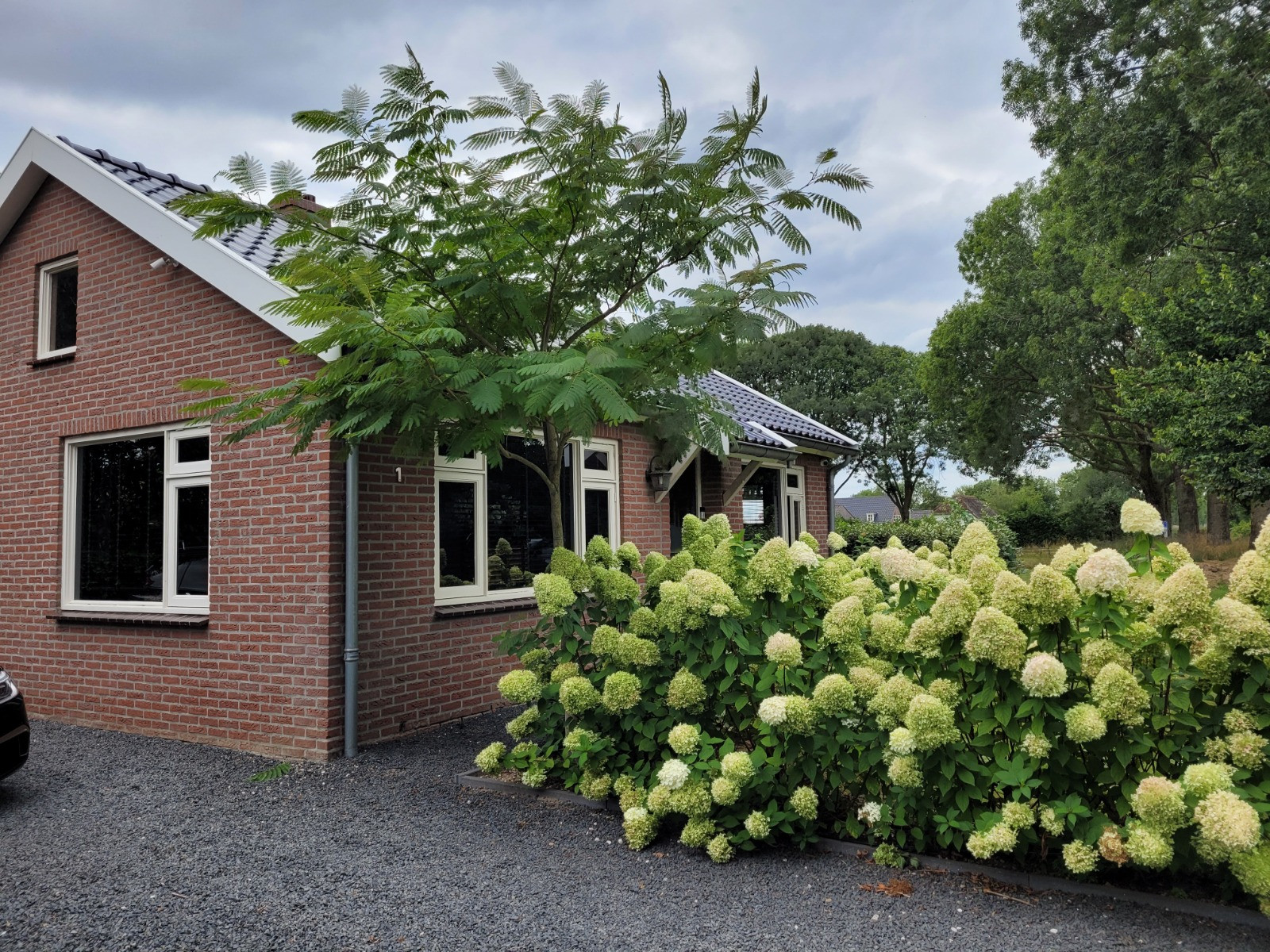 Perzische slaapboom voortuin