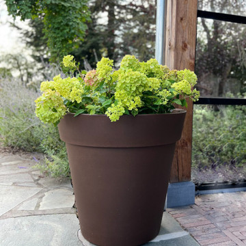 Pflanzkübel kaufen Pflanzkübel kaufen