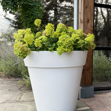 pflanzkübel pflanzkübel