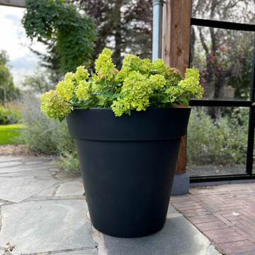 Plantenbak Daan Zwart Plantenbak Daan Zwart