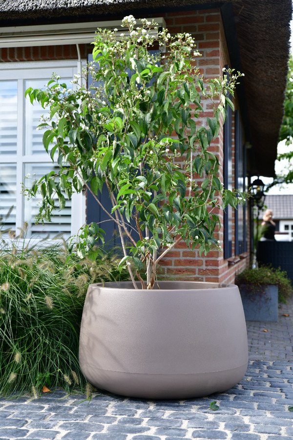pflanztopf rosa Ziertopf Gemalte Streifen Ø6cm Rosa Blumentopf Pflanztopf kaufen main image 0
