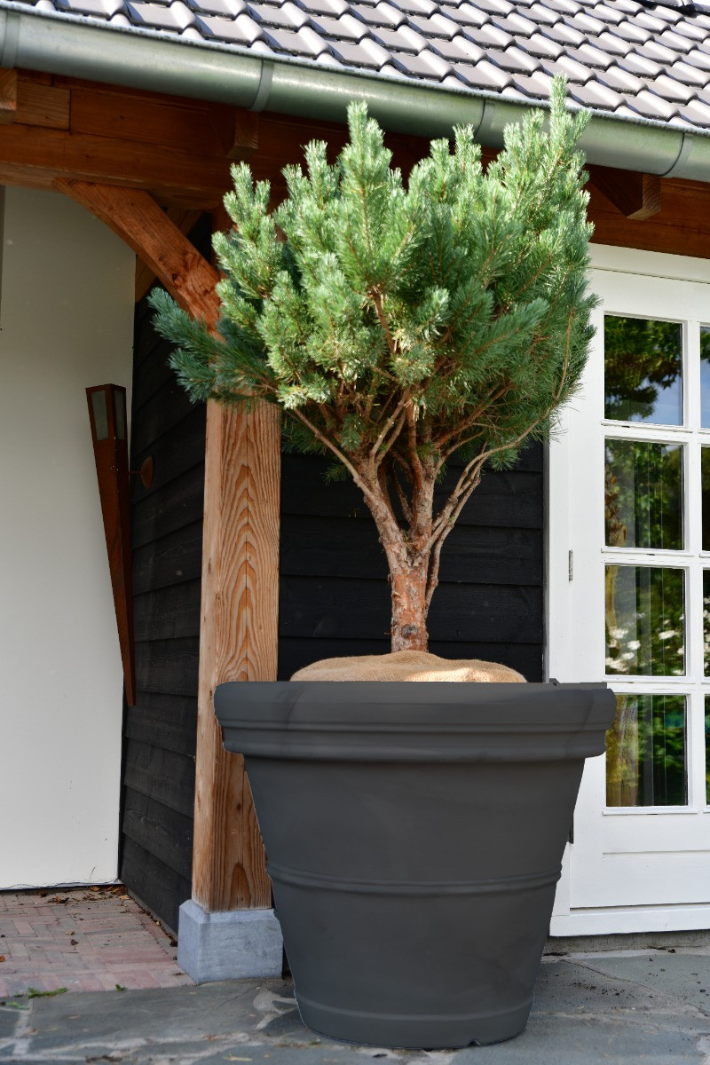 Plantenbak Mirella 100 | Antraciet