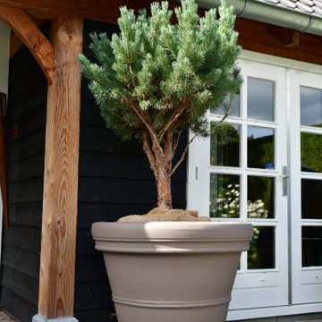 Pflanzkübel kaufen Pflanzkübel kaufen