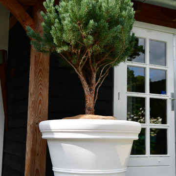 Pflanzkübel kaufen Pflanzkübel kaufen