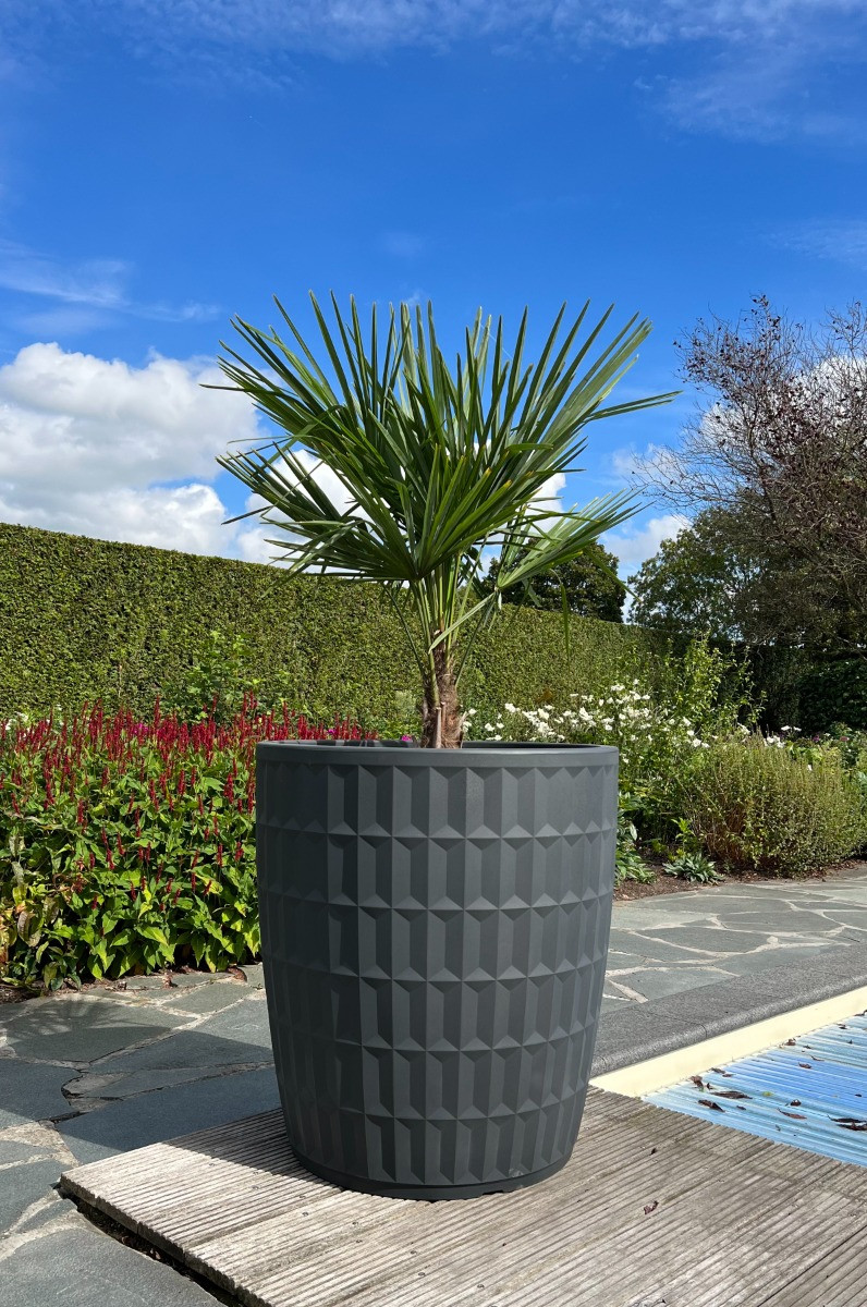 Plantenbak Yentl sfeer foto