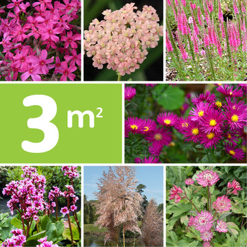 Borderpakket Roze Borderpakket Roze