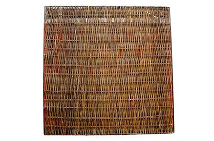 Wilgenscherm Avantgarde